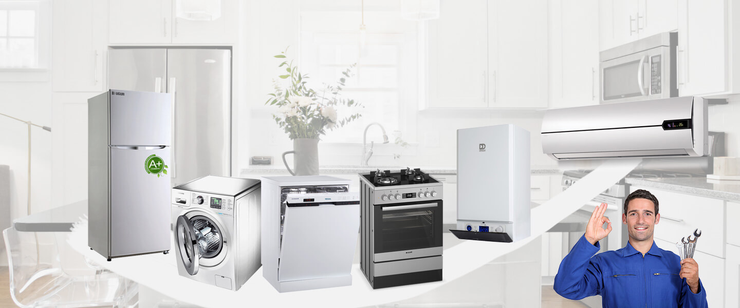 Armutlu Electrolux Servisi